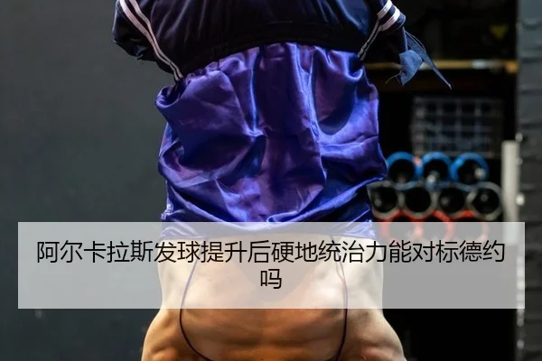a-er-ka-la-si-fa-qiu-ti-sheng-hou-ying-di-tong-zhi-li-neng-dui-biao-de-yue-ma-2-737.jpg